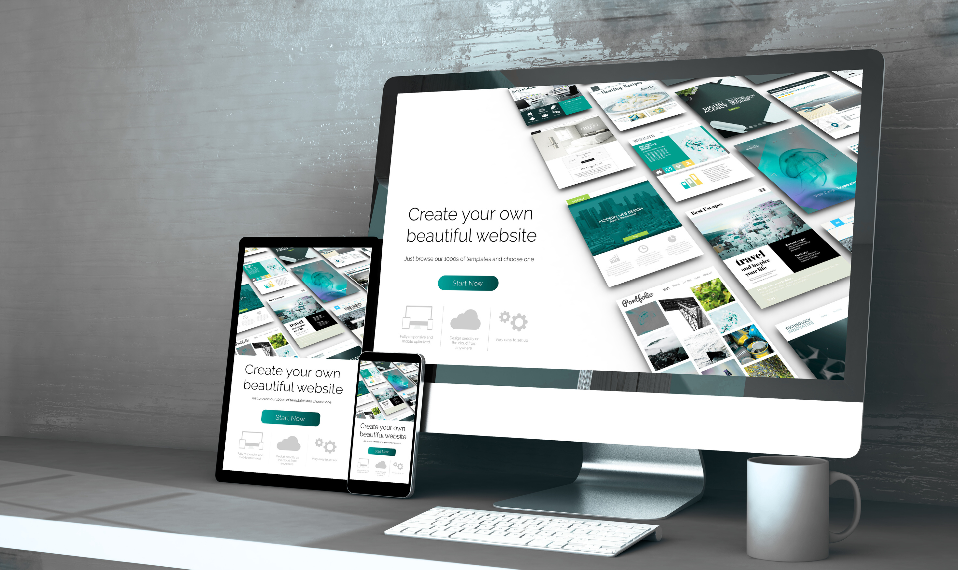Website Design & Development
